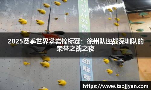 2025赛季世界攀岩锦标赛：徐州队迎战深圳队的荣誉之战之夜