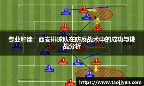 完美体育登录